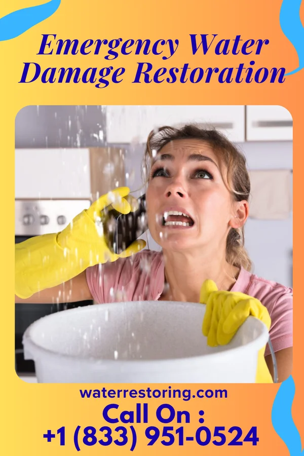 Emergency Water Damage Restoration in Vernon, AL