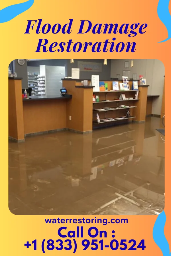 Flood Damage Restoration in Vernon, AL