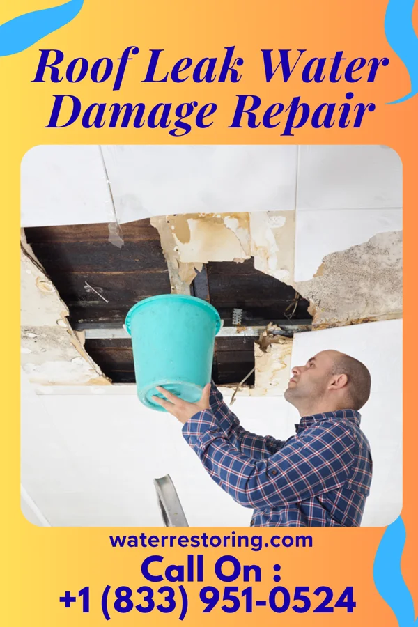 Roof Leak Water Damage Repair in Vernon, AL